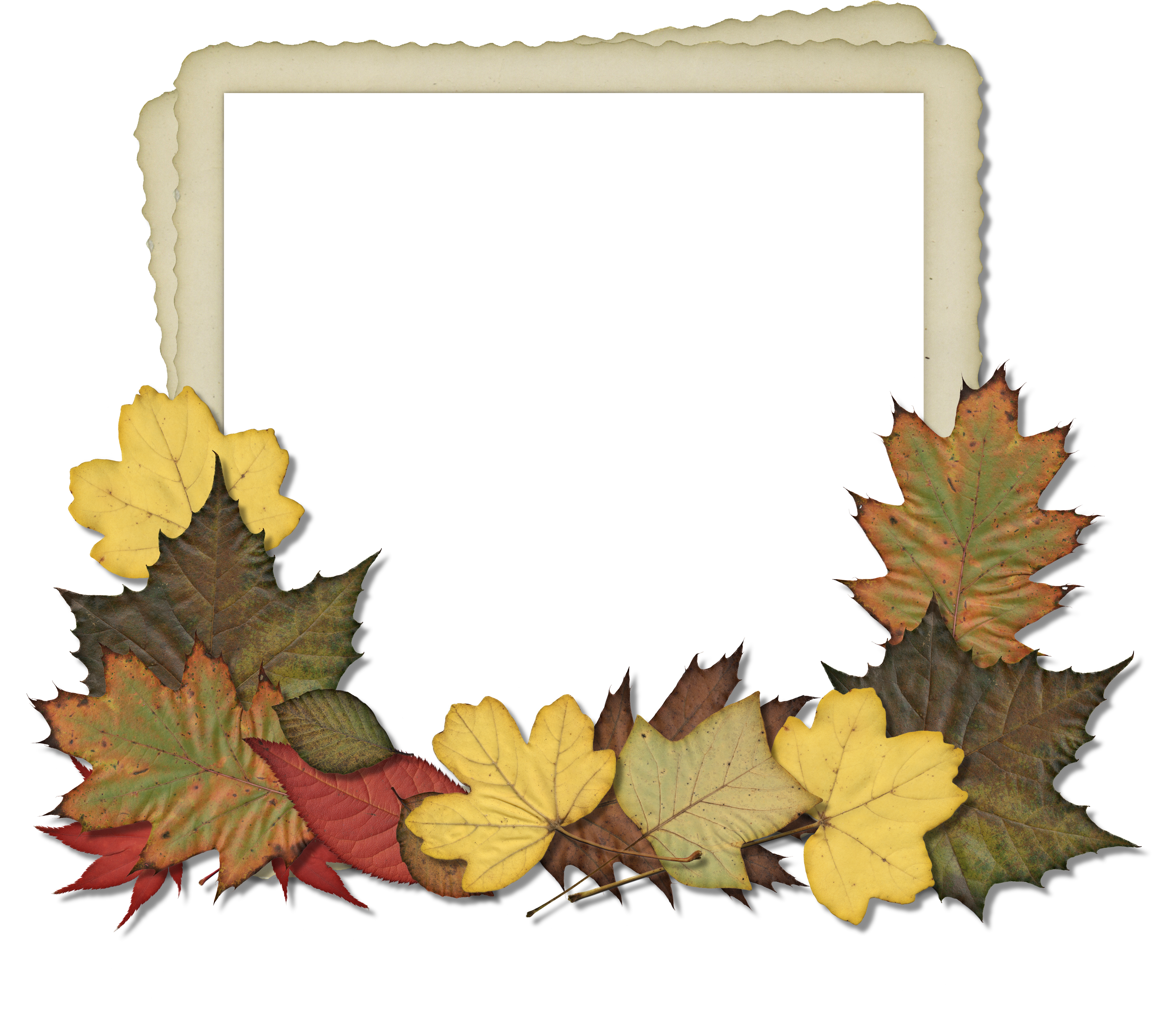 Autumn Leaves Photo Frame