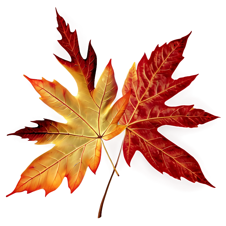 Autumn Leaves Png 5