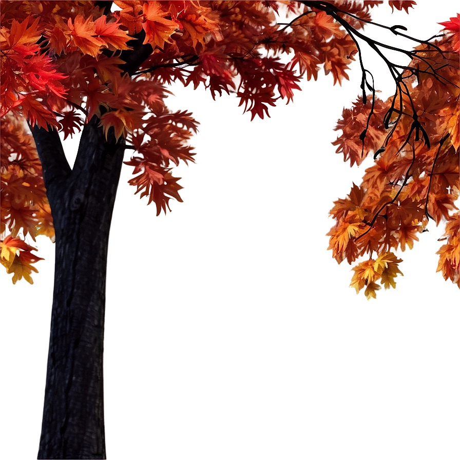 Autumn Maple Trees Png Euq