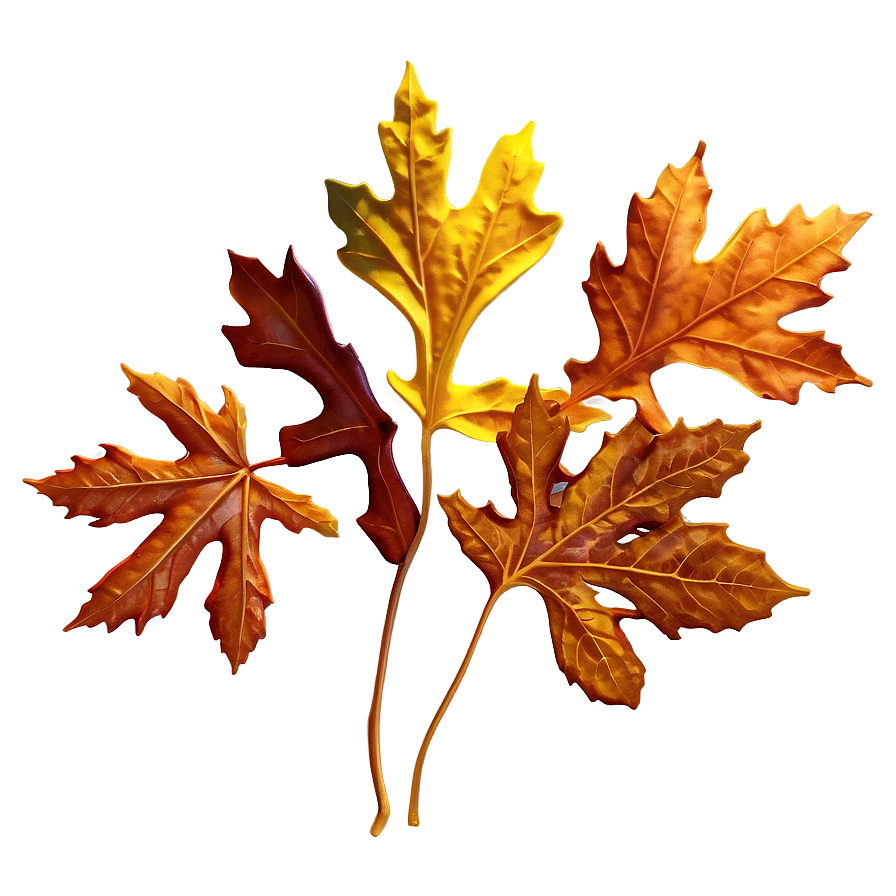 Autumn Oak Leaf Png Fim39