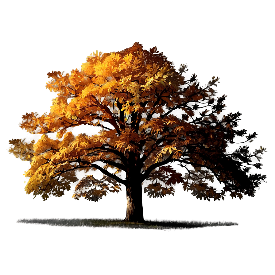 Autumn Oak Tree Png Hoq77