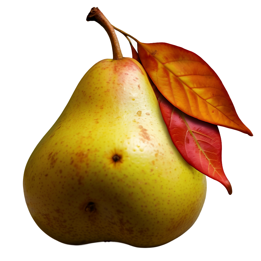 Autumn Pear Png 06122024