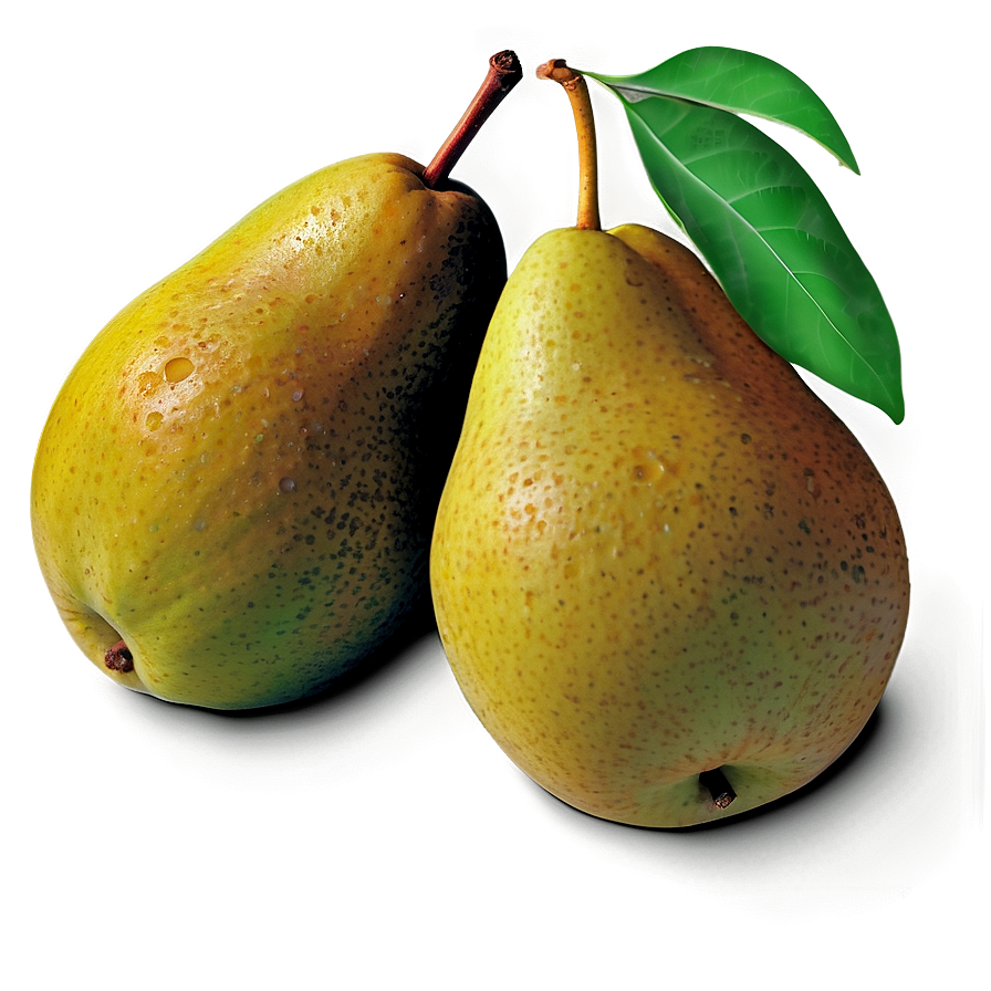 Autumn Pear Png 06122024