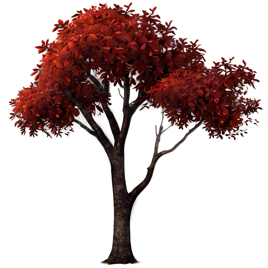 Autumn Red Tree Image Png 96