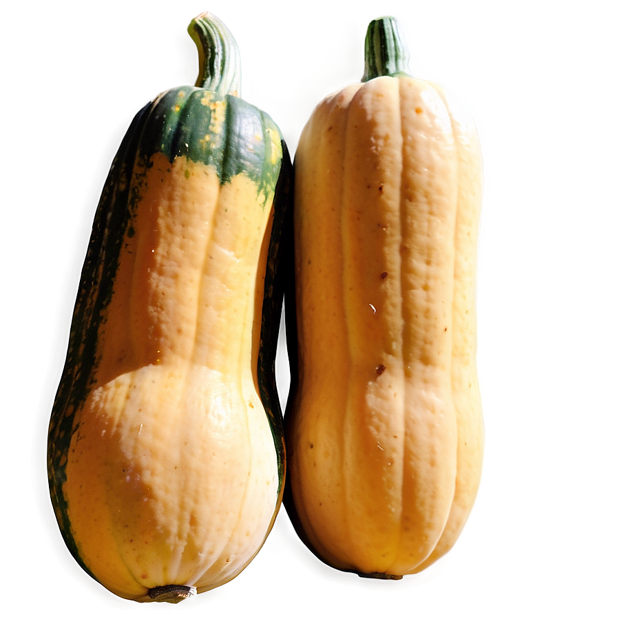 Autumn Squash Png 06122024