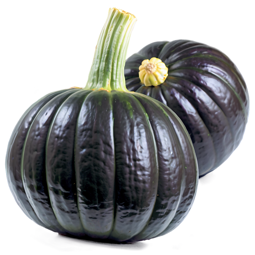 Autumn Squash Png Tcv