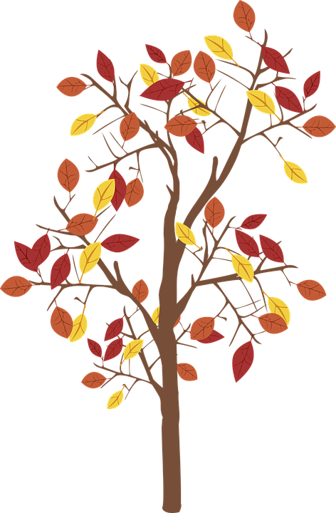 Autumn Tree Illustration