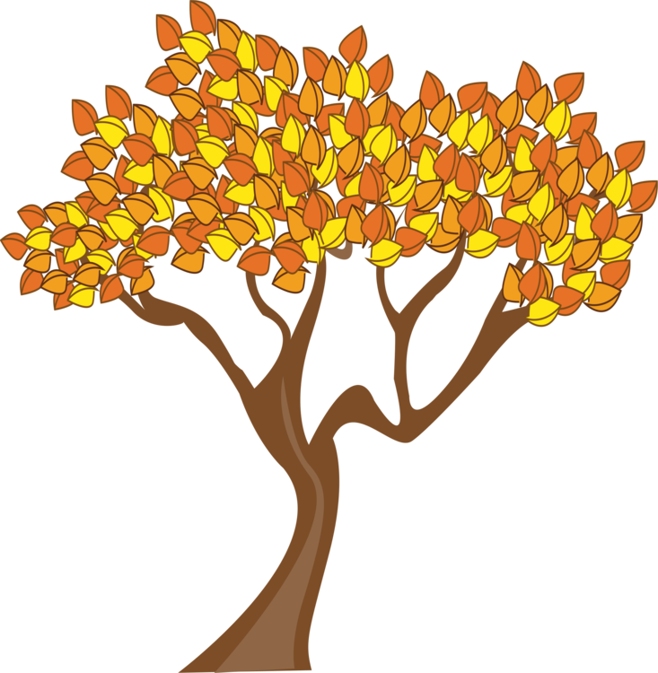 Autumn Tree Illustration