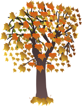 Autumn Tree Illustration