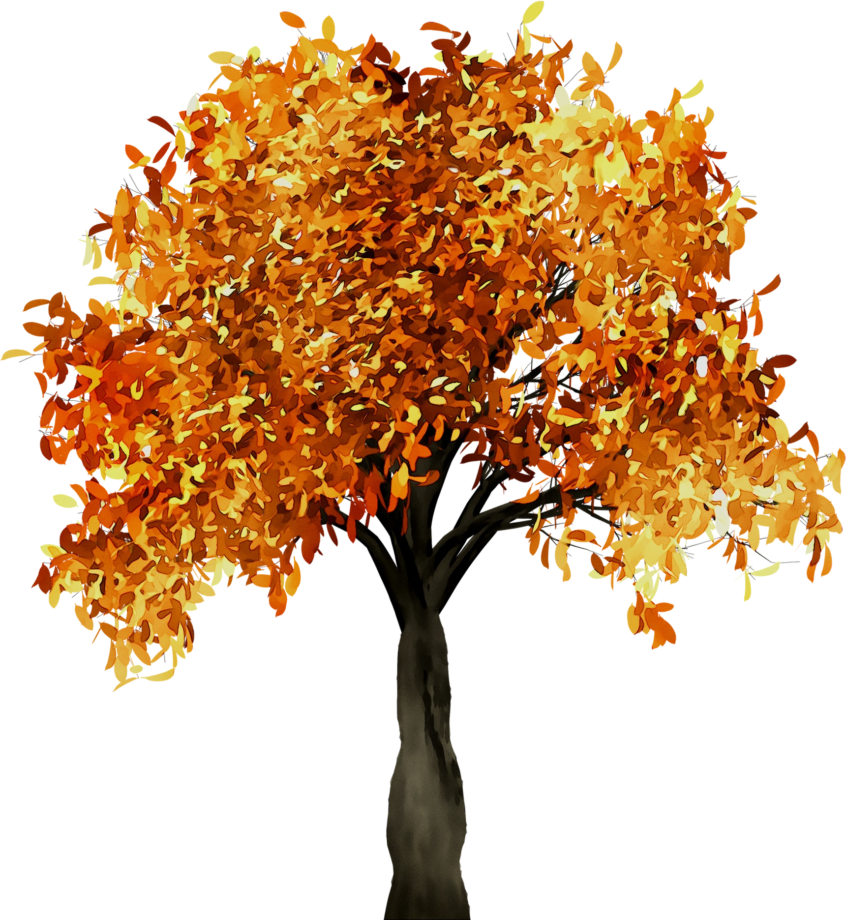 Autumn_ Tree_with_ Orange_ Leaves