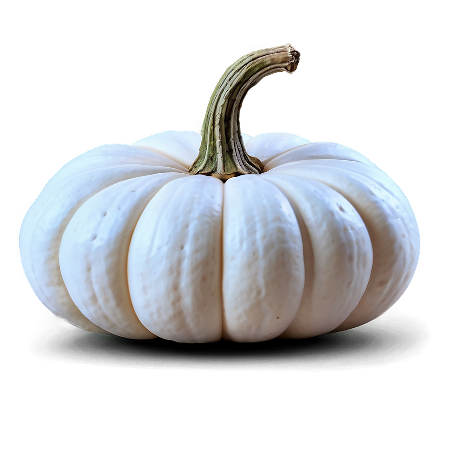 Autumn White Pumpkin Png Rrd