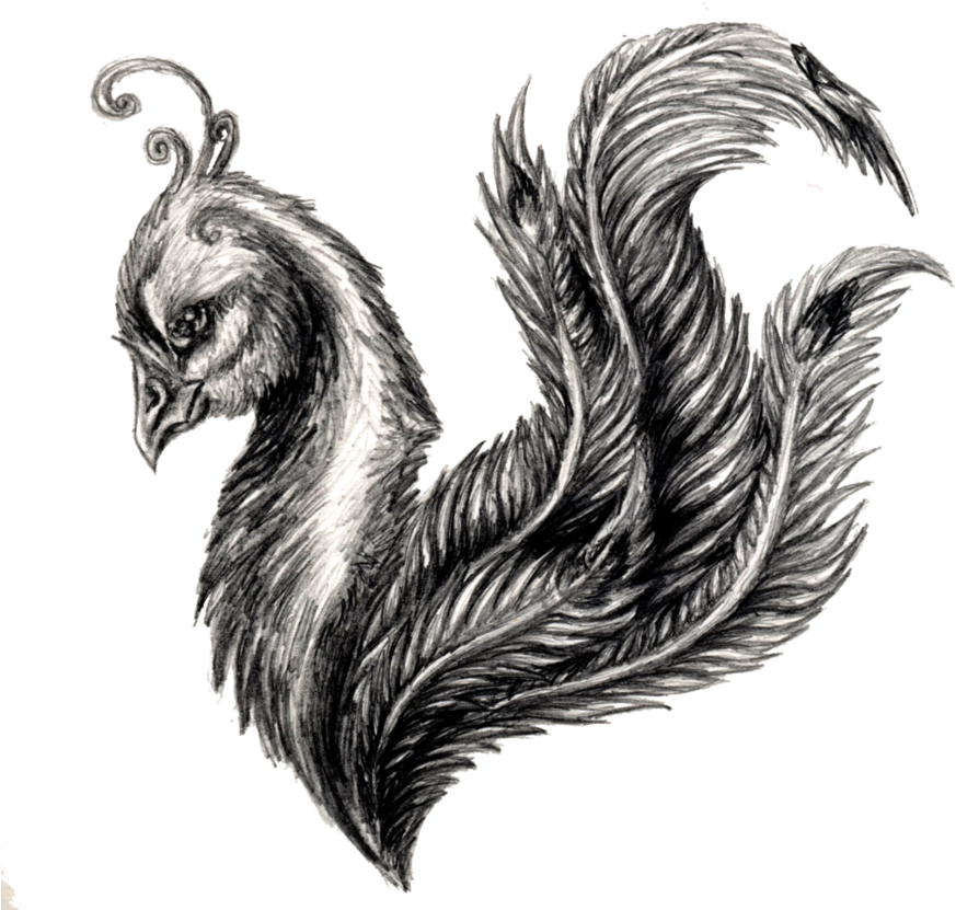 Avian Feather Fusion Artwork.png