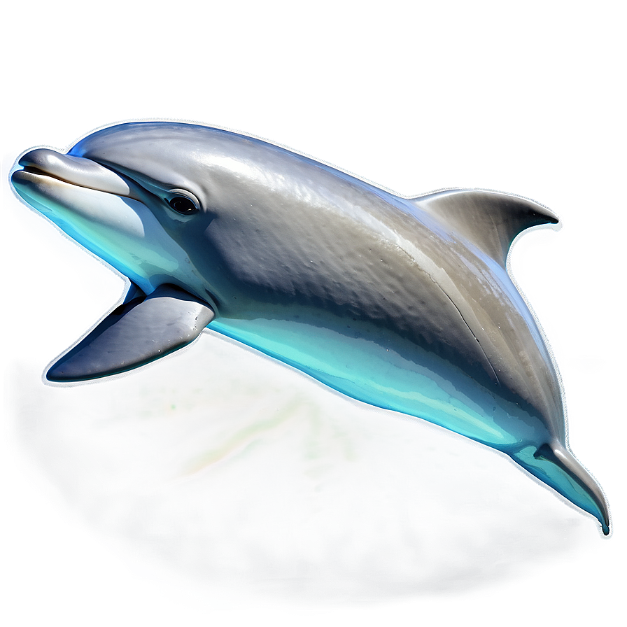 Baby Dolphins Png Rqw89