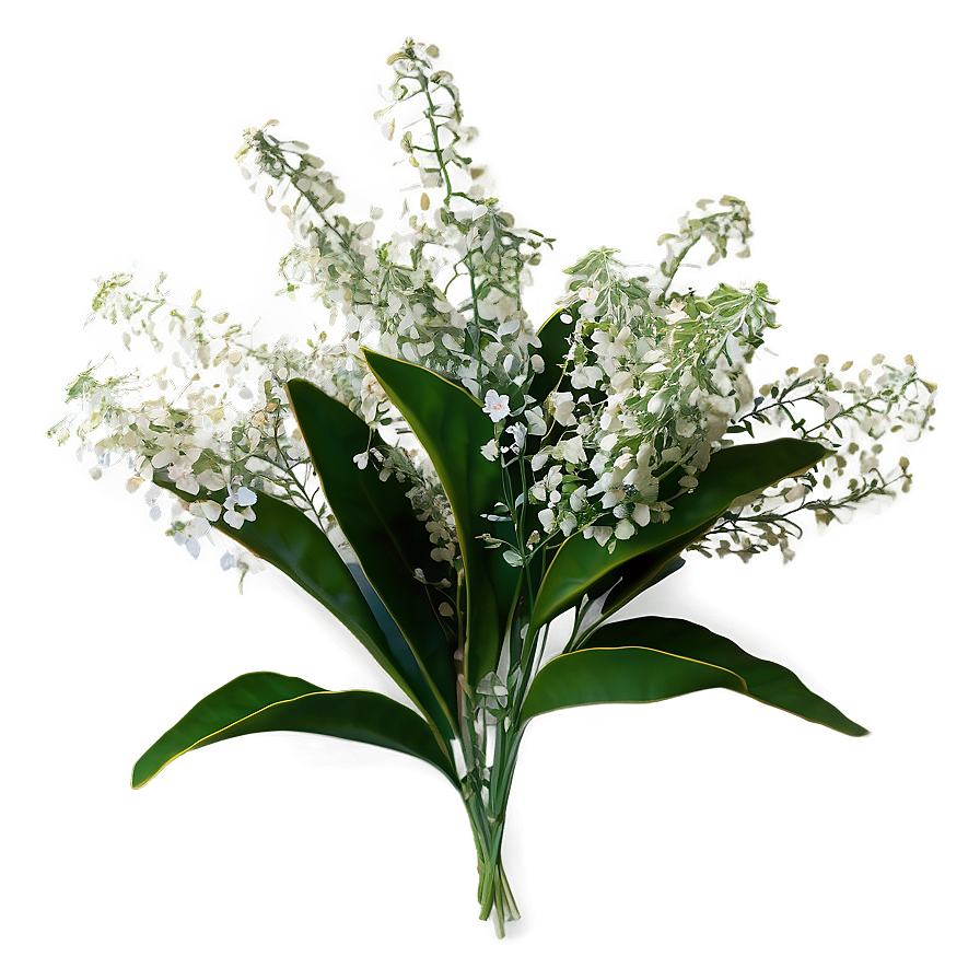 Baby's Breath And Eucalyptus Png Dnx75 Image