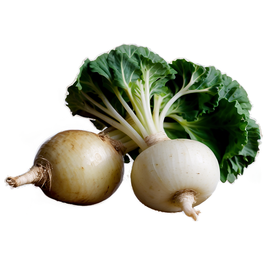 Baby Turnip Png Wqb