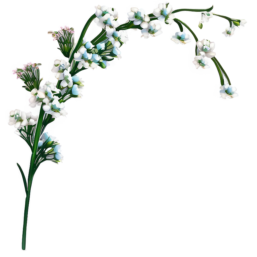 Babys Breath Greeting Card Art Png 27