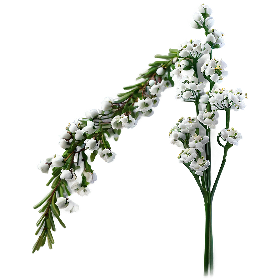 Babys Breath Wedding Decor Png Mjm