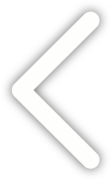 Back Arrow Icon Simple Design