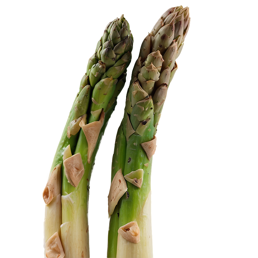 Baked Asparagus Png 19