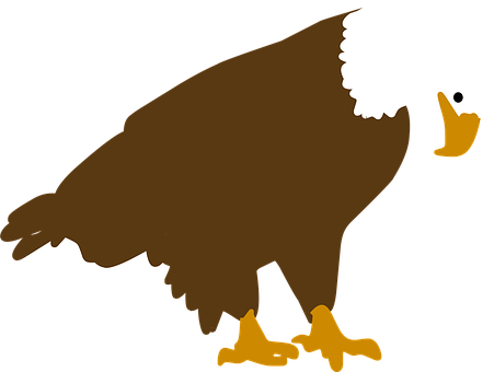 Bald Eagle Silhouette