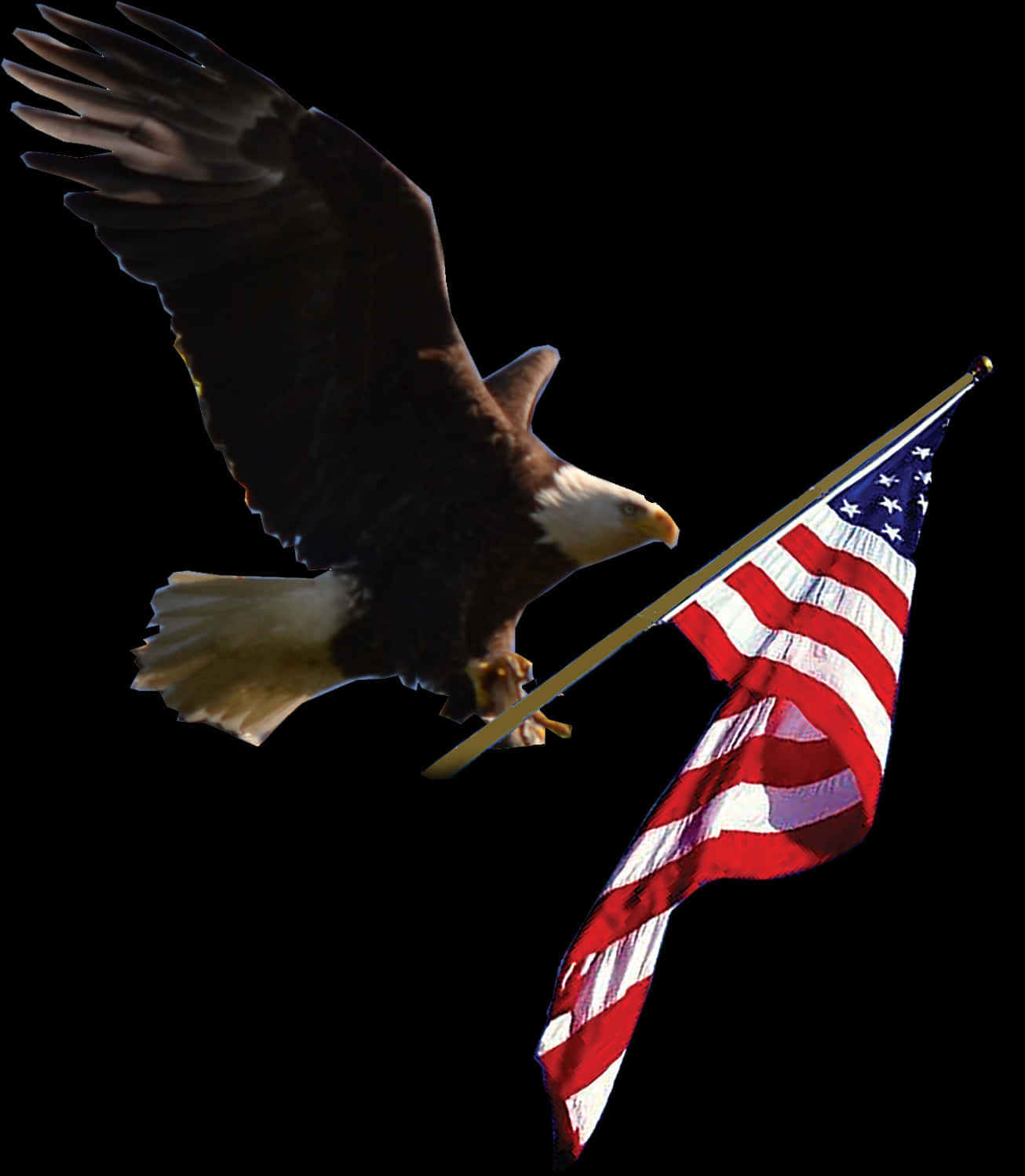 Bald Eagle With American Flag