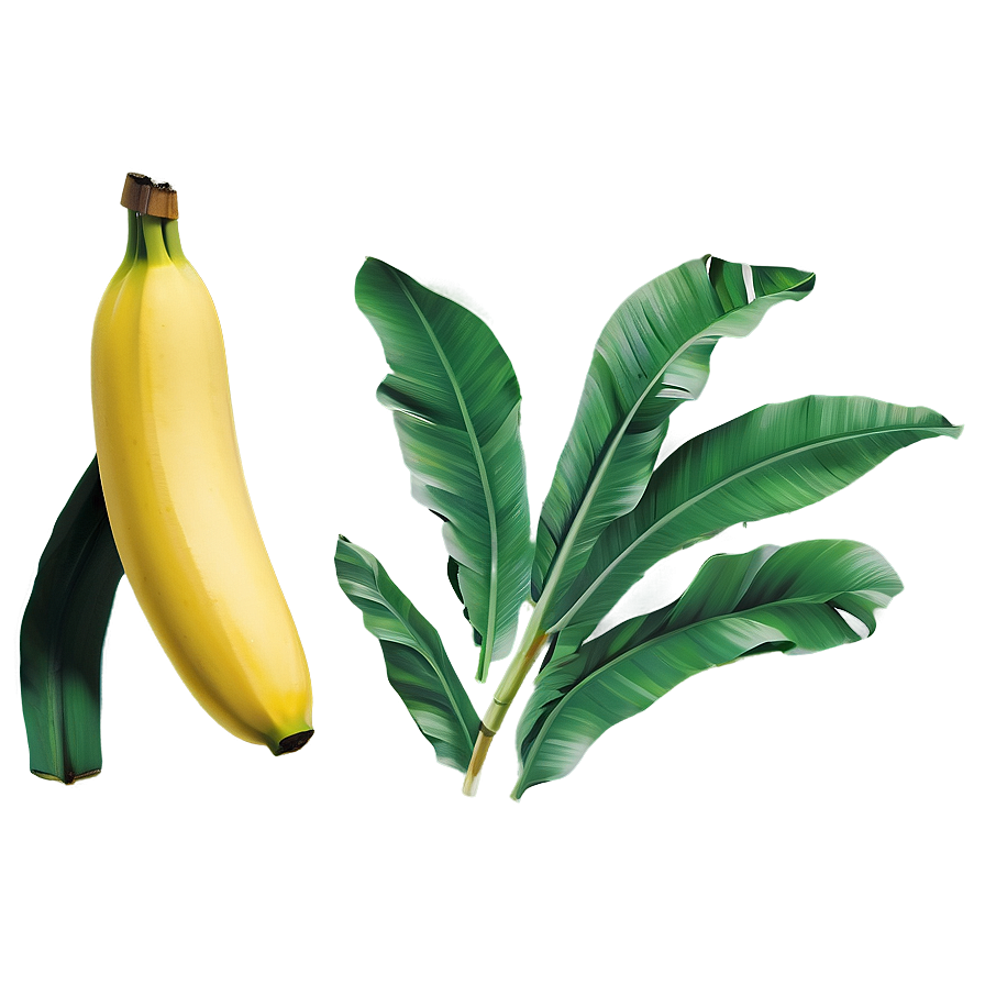 Banana Leaf Art Png Kyp85