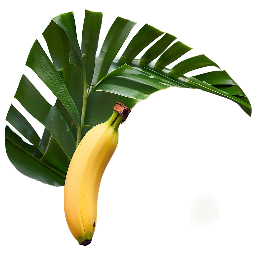 Banana Leaf Art Png Rko36