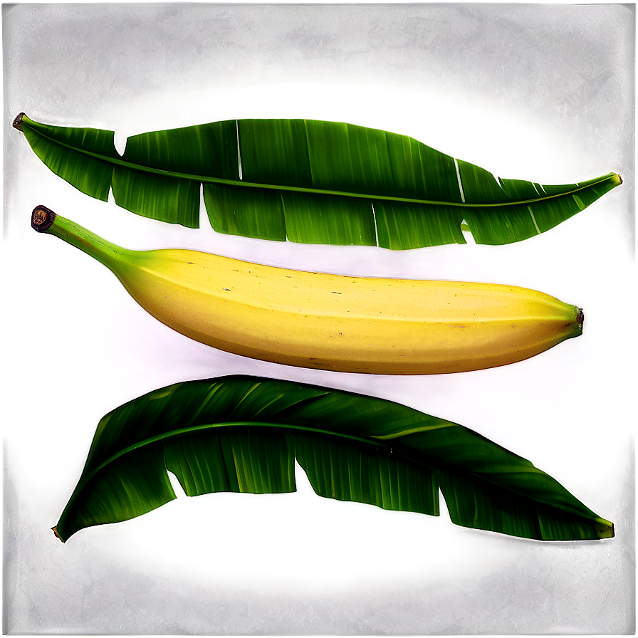 Banana Leaf Art Png Yic57