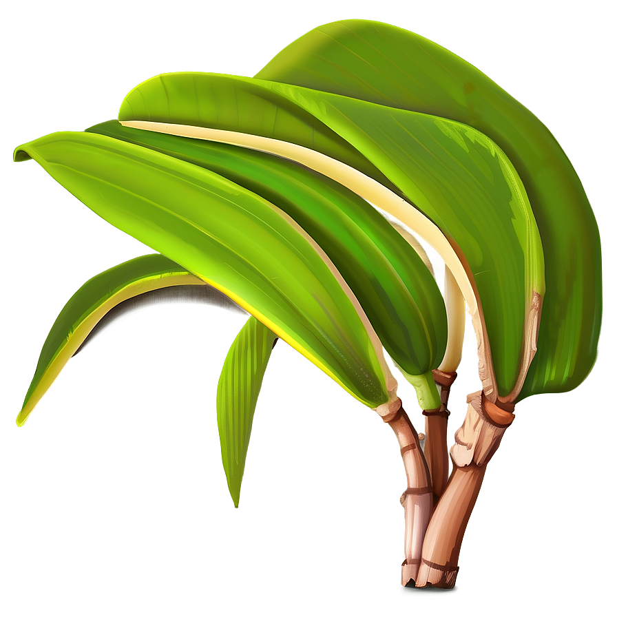 Banana Leaf Clipart Png 06232024