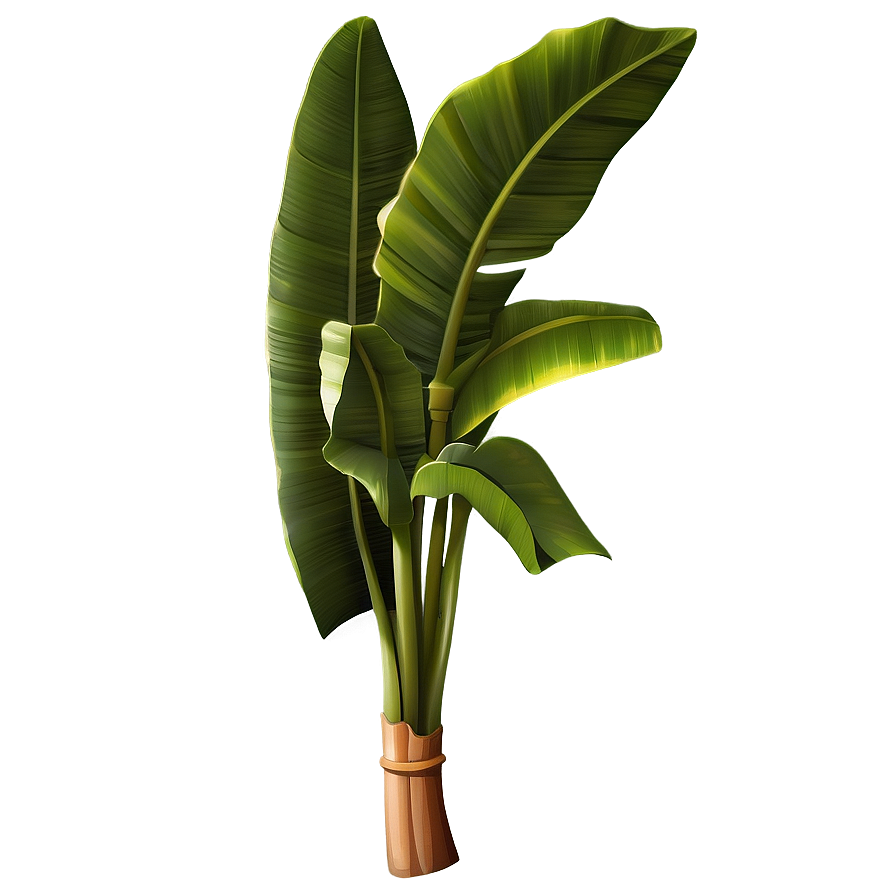 Banana Leaf Clipart Png Nsf16