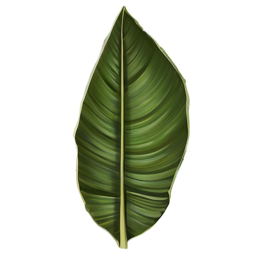 Banana Leaf Drawing Png Edt12