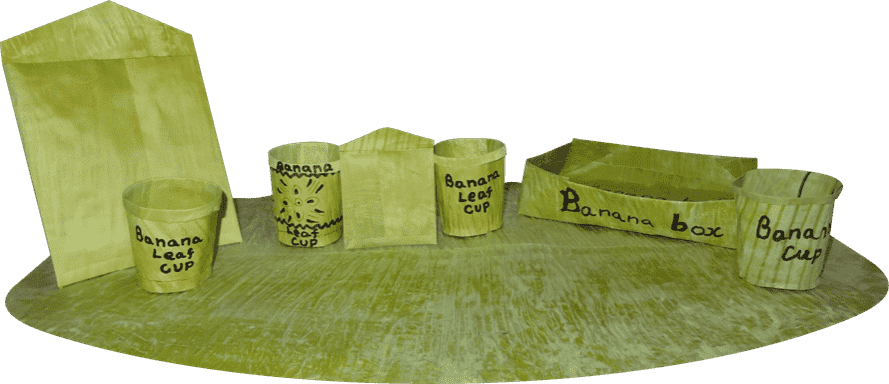 Banana Leaf Eco Friendly Products