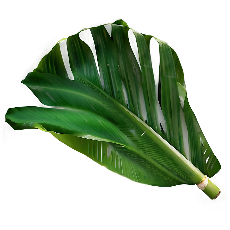 Banana Leaf Eco Png 8