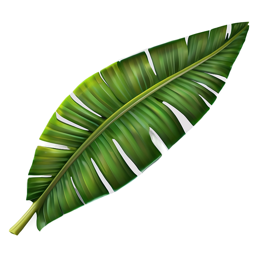 Banana Leaf Element Png Yol