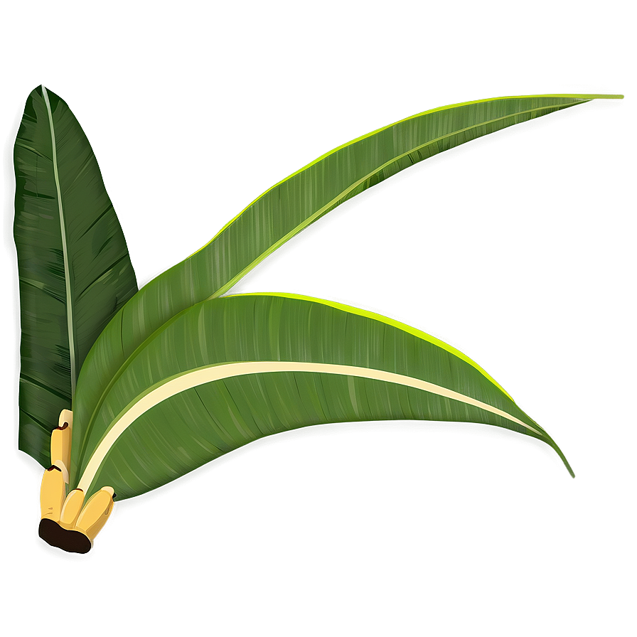 Banana Leaf Flat Png Oug