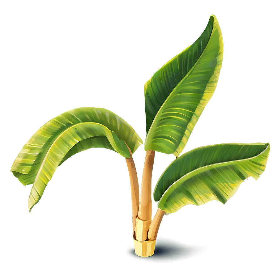 Banana Leaf Illustration Png Kwq43