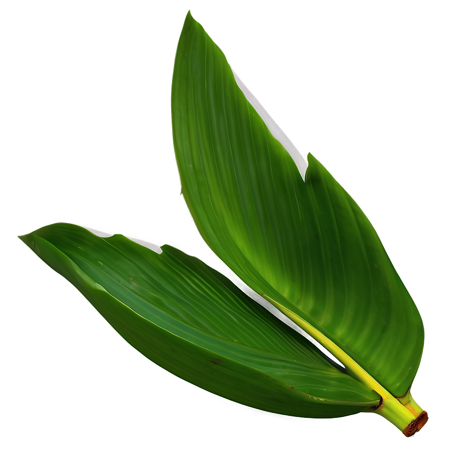 Banana Leaf Natural Png Xbs