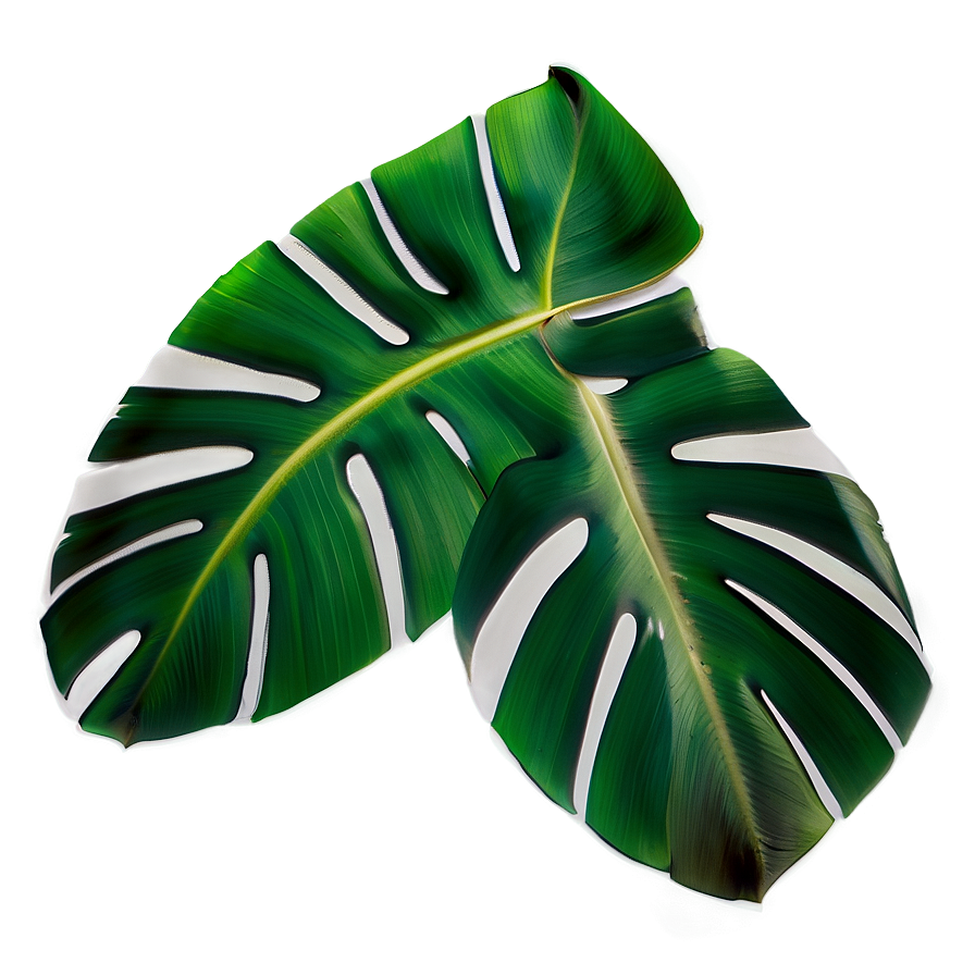 Banana Leaf Print Png Poe