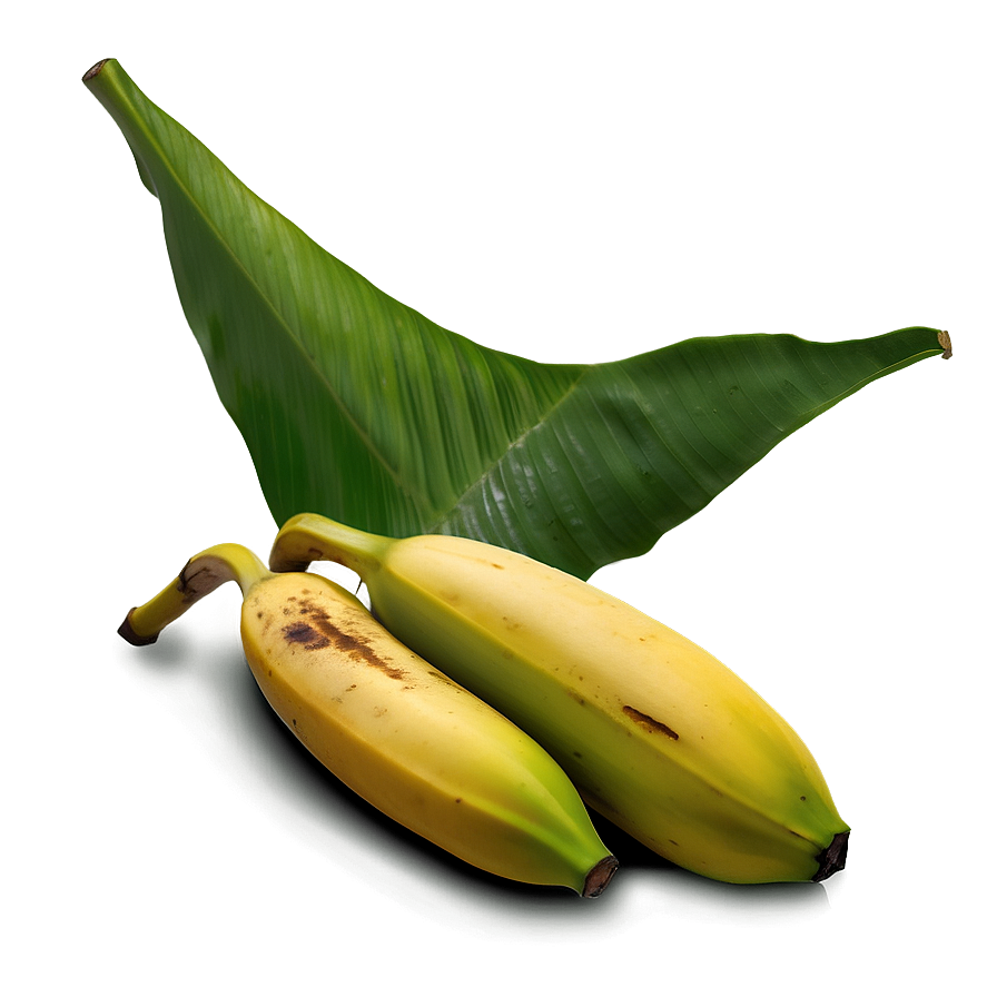 Banana Leaf Realism Png Tyy