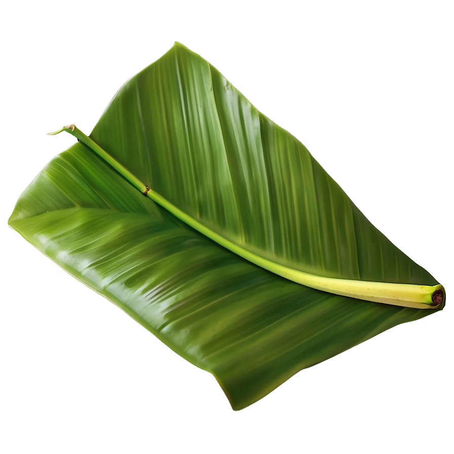 Banana Leaf Scene Png Jmv50