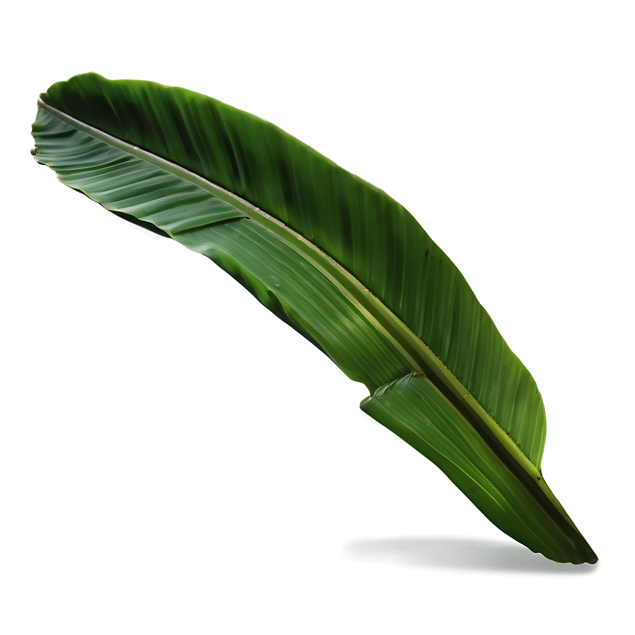 Banana Leaf Shape Png 06232024