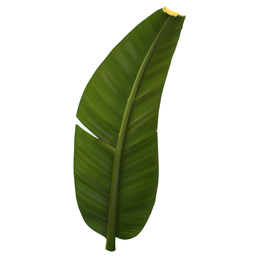 Banana Leaf Silhouette Png 06232024