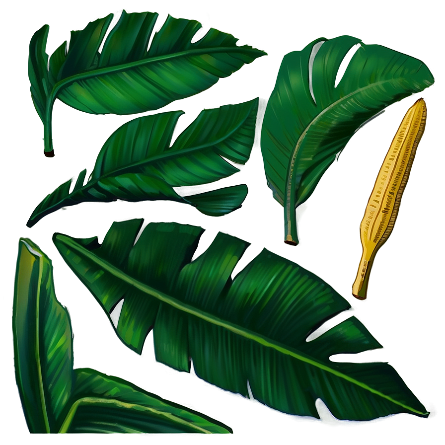 Banana Leaf Simplicity Png 06232024