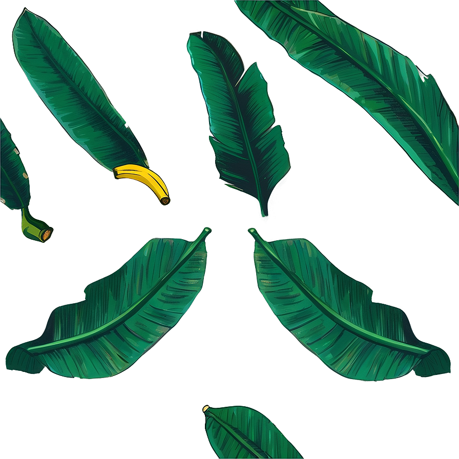 Banana Leaf Sketch Png 06232024