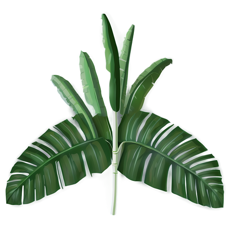 Banana Leaf Summer Png 8