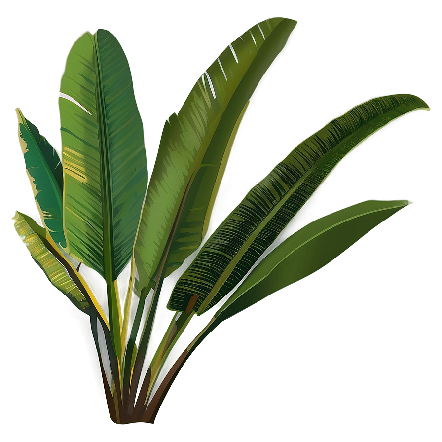 Banana Leaf Vector Png 06232024