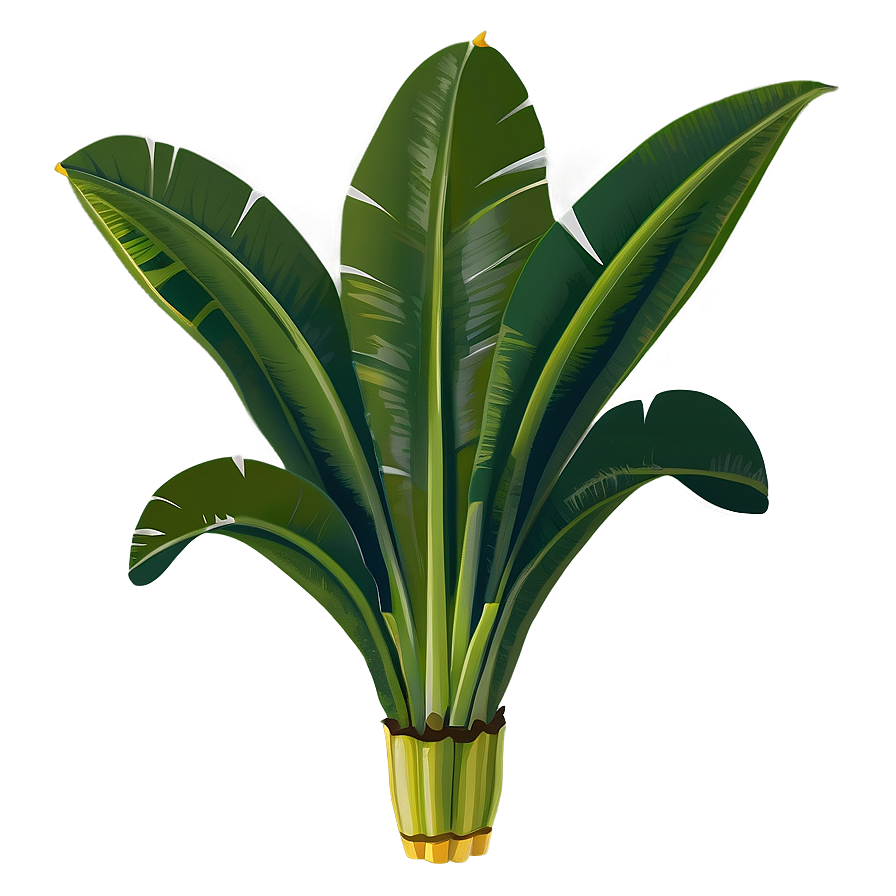 Banana Leaf Vector Png Hid11