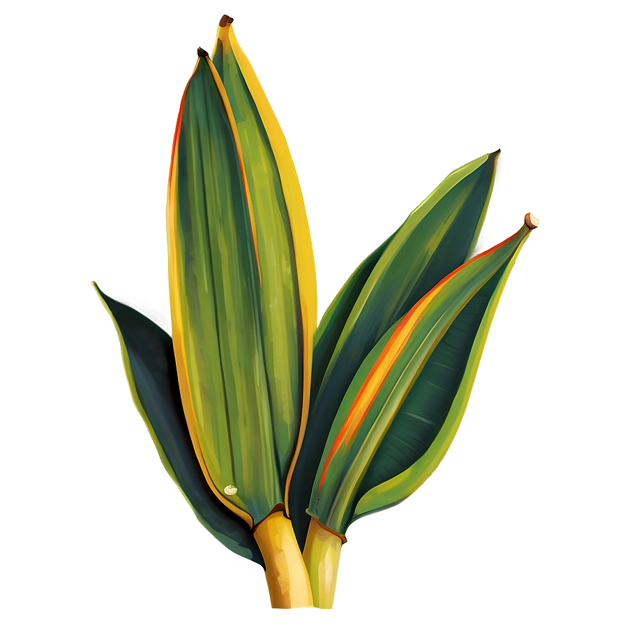 Banana Leaf Vector Png Wgv41