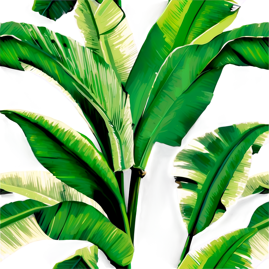 Banana Leaf Wallpaper Png Ypy