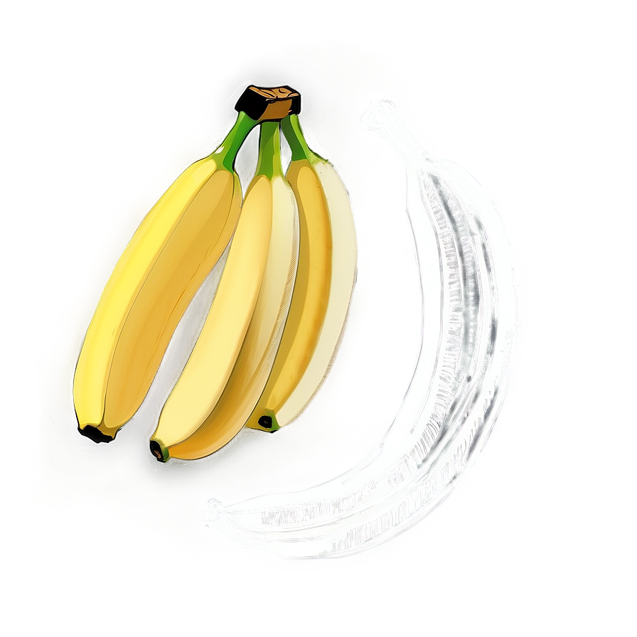 Banana Sketch Png 51